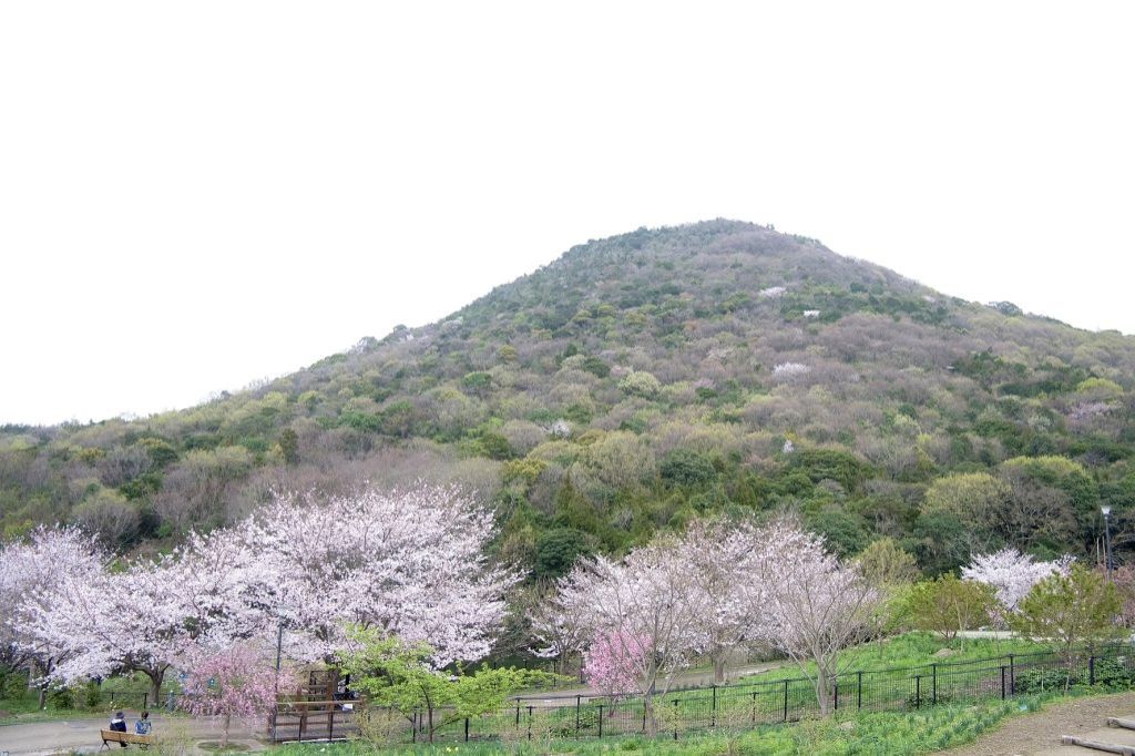 お宝ファイルNO.73 善通寺五岳の里 市民集いの丘公園
