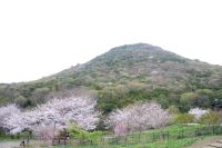お宝ファイルNO.73 善通寺五岳の里 市民集いの丘公園