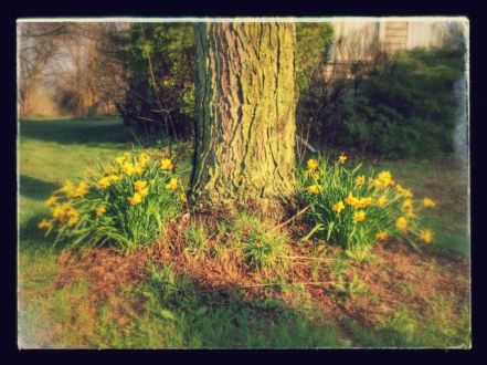 4月19日(水)今日の一コマ