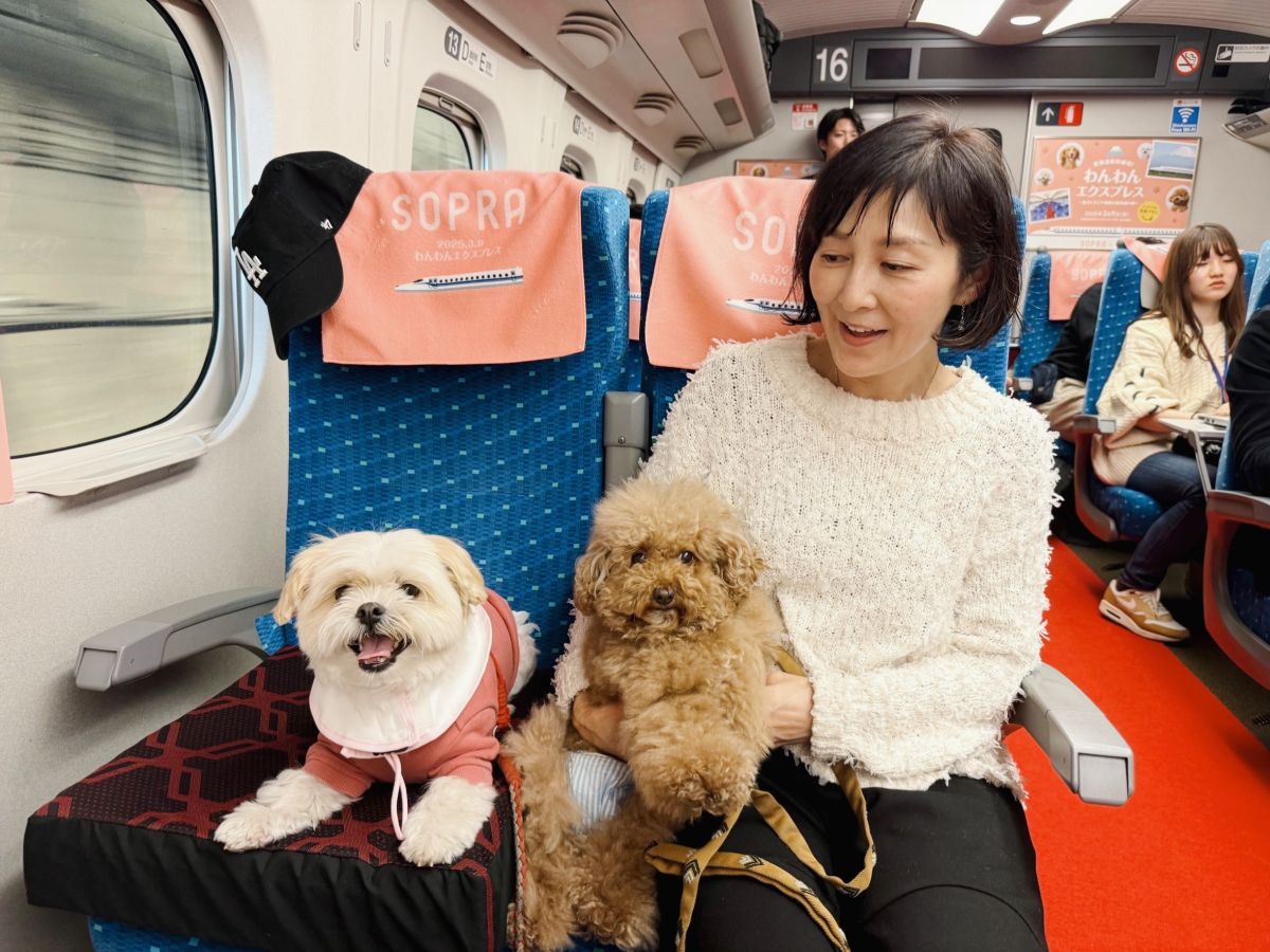 春のお引越し＆Kiss FM KOBE オンエア決定