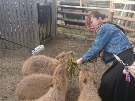 南房総って、冬でも“♪あったかいんだからあ～”