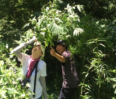 【＃２１　ドクトル西野の植物まみれ！」 in　きみつのさんぽ道】～Sato Note