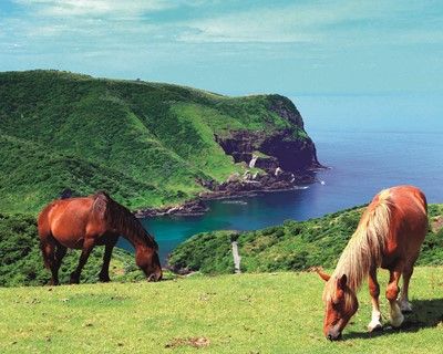 隠岐をお得に旅する -おき得乗船券-【隠岐観光協会】
