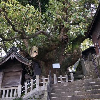 第４４回：「大徳寺公園」