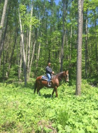 斉藤リョーツのいただき！乗馬