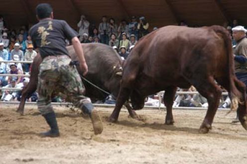 街フェスオンサンデー！