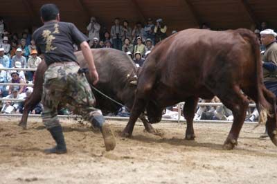 街フェスオンサンデー！