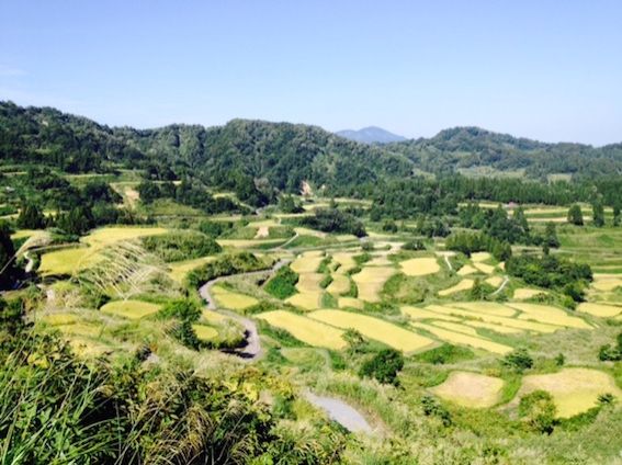 6月9日（火）今日の1コマ