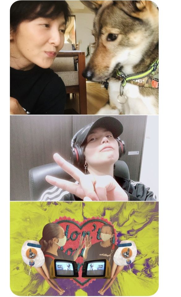 ワンちゃん、猫ちゃんの年齢について☆3人がこの秋、ハマっている事！