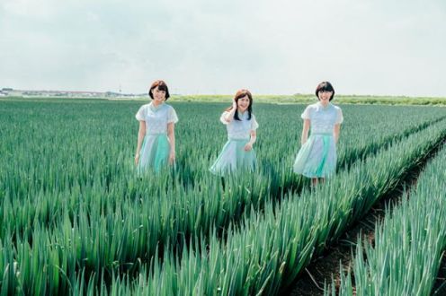 8月3日のプレイリストはNegicco