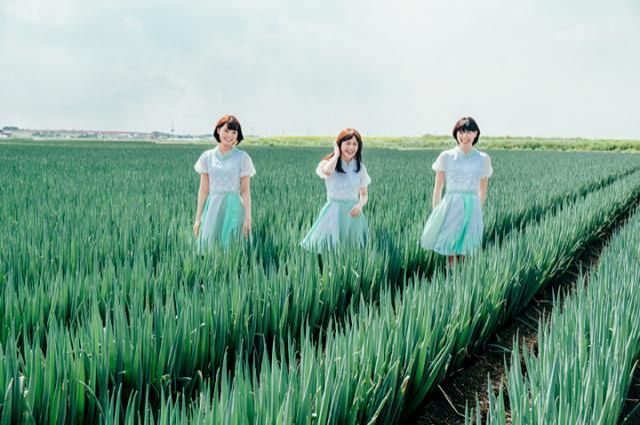 8月3日のプレイリストはNegicco