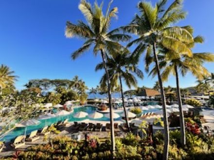 1105フィジーに行ってきた