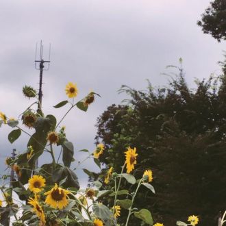 8月10日（水）今日の1コマ