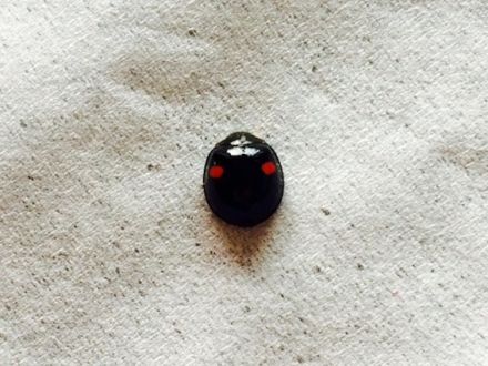 10月20日（火）今日の1コマ