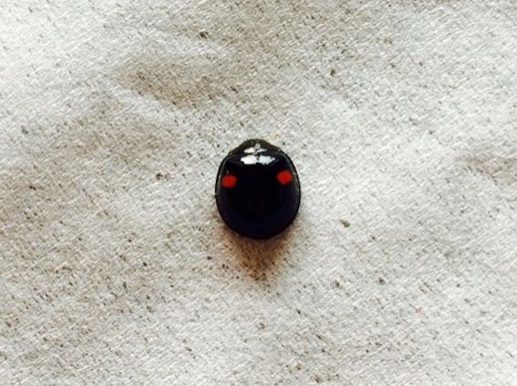 10月20日（火）今日の1コマ