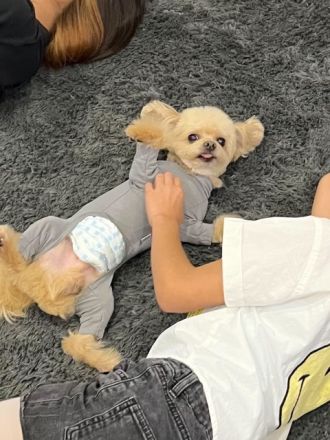 藤井悠のいただき！ナル。