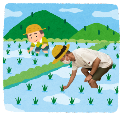 田んぼを見に行こう