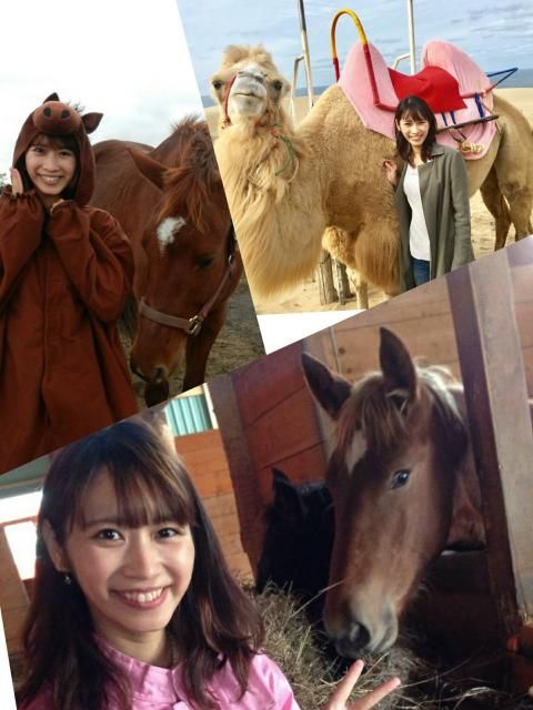 ９月26日(火)【動物LOVE】