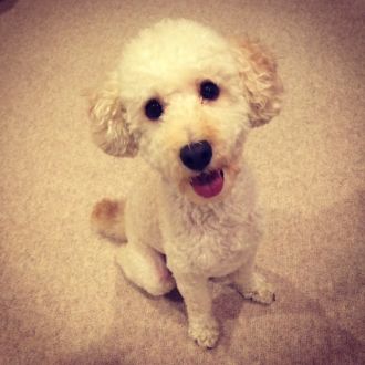 2015年1月6日（火）今日の1コマ