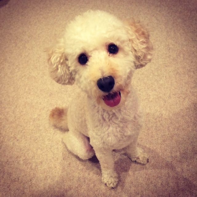 2015年1月6日（火）今日の1コマ