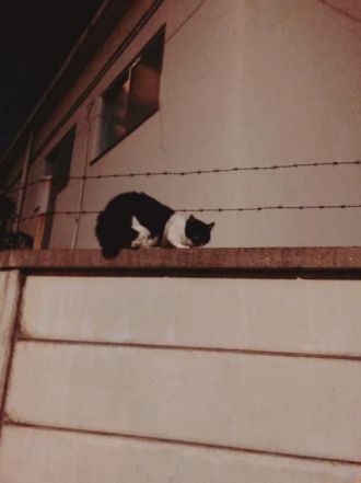 9月24日（火）　今日の1コマ　