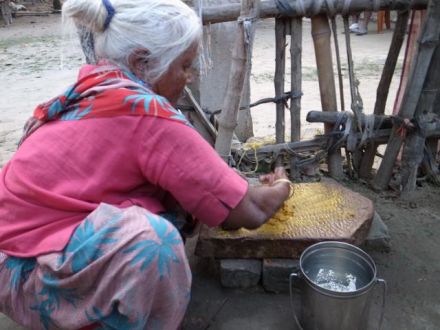 9月15日(火)今日の1コマ♪
