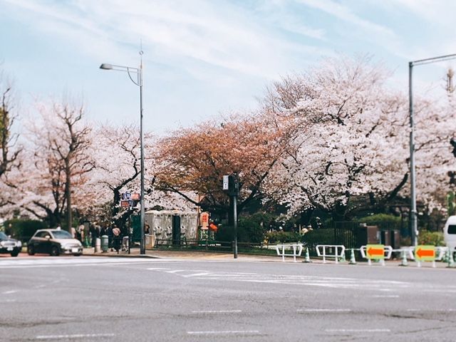 2018年3月26日（月）【私が応援したい人】