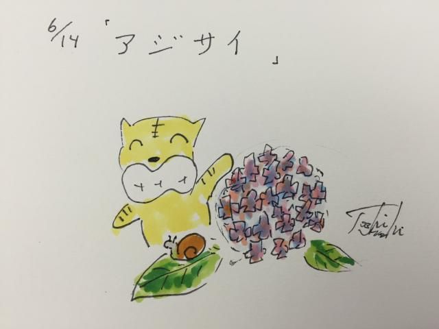 6月14日（火）のデリフラは…