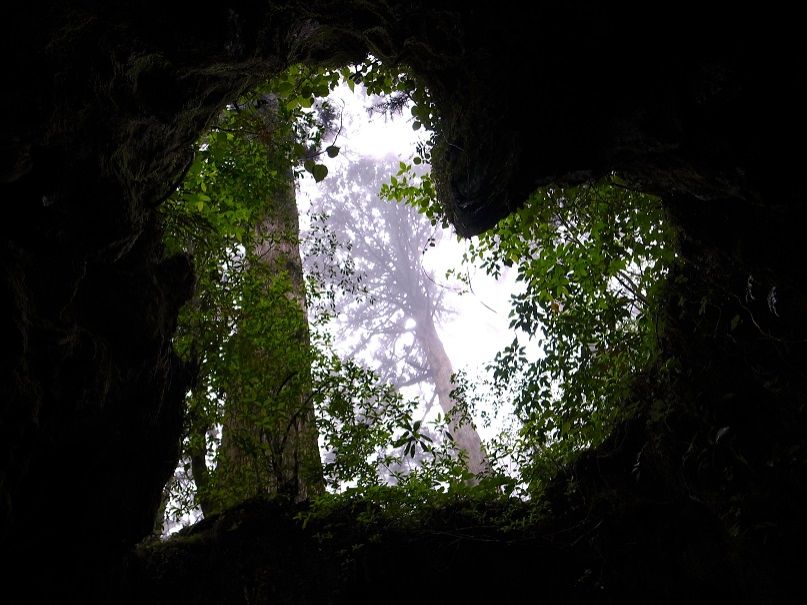 2月17日（火）今日の1コマ