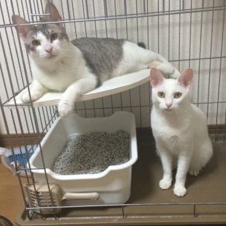 3月23日（火）今日の1コマ