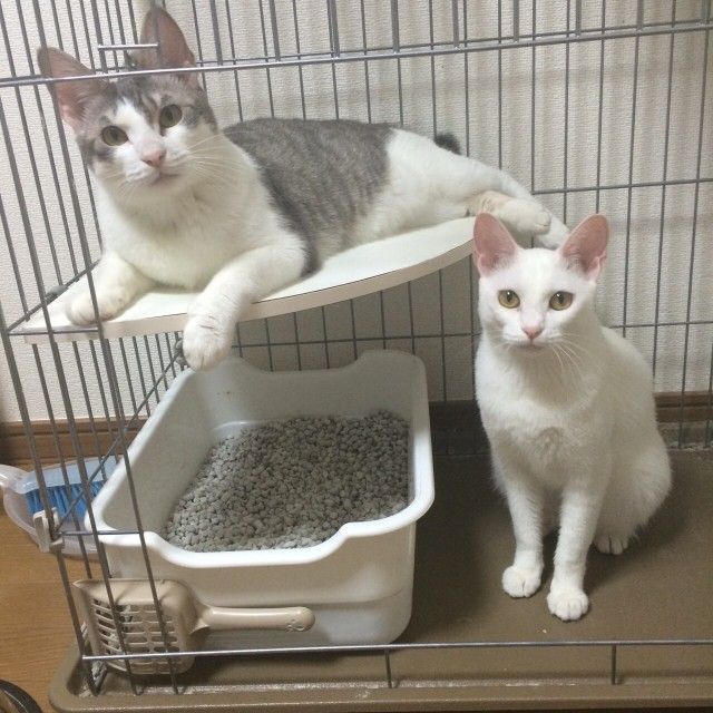 3月23日（火）今日の1コマ