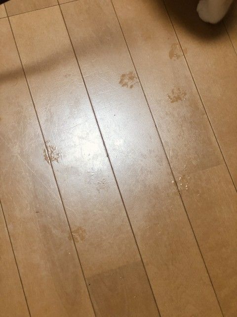 6月14日（月）　今日の1コマ