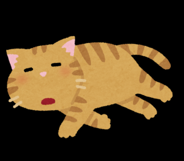 今日の華恵さんの音声コンテンツは、 猫ちゃんへのプレゼントを悩んでます…。