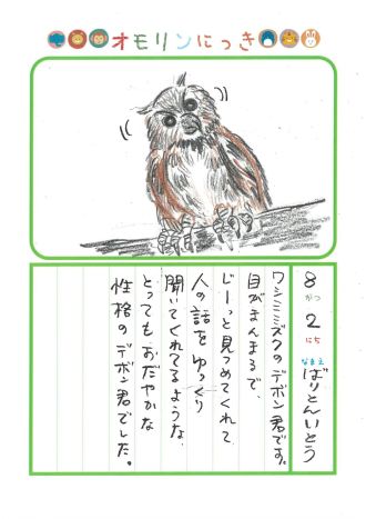 2026年8月2日「ワシミミズクさんをみできましたよ」