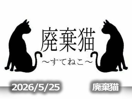 5月25日配信「廃棄猫～すてねこ～」