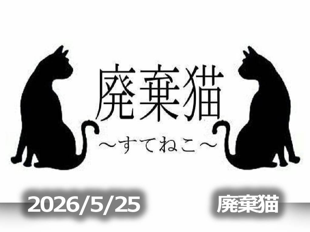 5月25日配信「廃棄猫～すてねこ～」