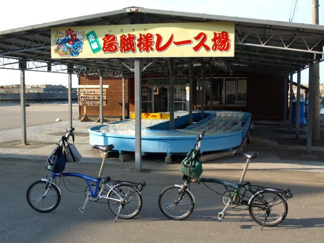 街フェス・オン・サンデー 「元祖　烏賊様レース！ 」