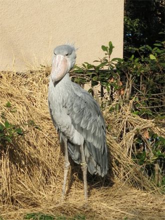 10月7日（火）今日の1コマ