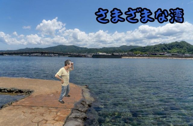 さまざまな湾