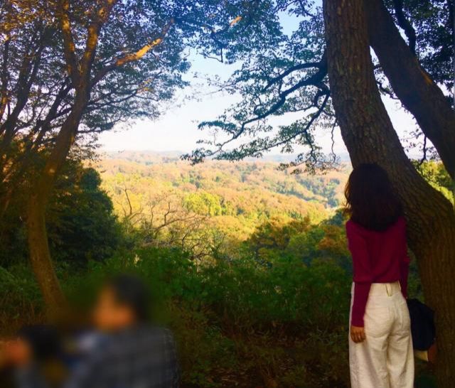 11月14日（水）今日の一コマ