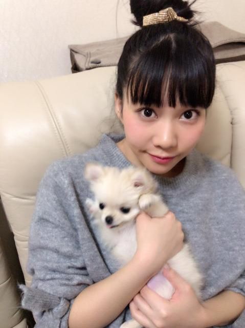 ちゃあぽんから皆様へ