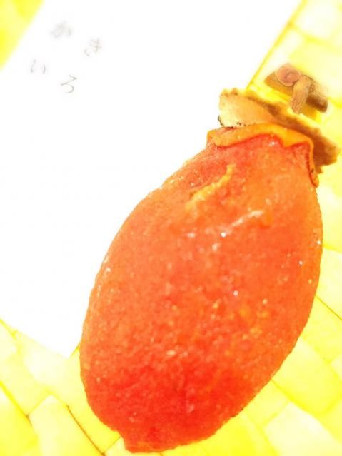 7月20日（水）今日の1コマ