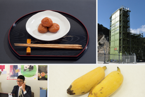 海、温泉、梅にミカン、パンダもロケットも！？／和歌山県 知事室 広報課 小倉知典さん