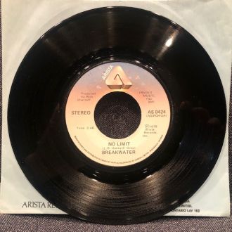 バイナルギャラリー (RHYMESTER DJ JINの秘蔵レコード紹介 未放送ノーカット版)