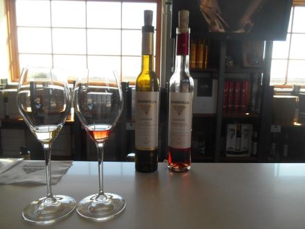 「Dream Planet～oumiのぐるーりとジャーニー」vol.23