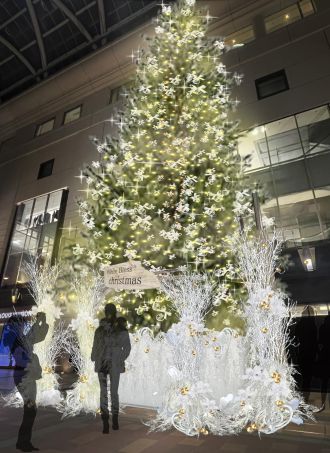海洋プラスチックゴミがクリスマスツリーに／株式会社博多大丸 大丸福岡天神店・箱崎純史さん