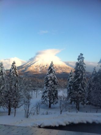 11月30日（月）今日の1コマ