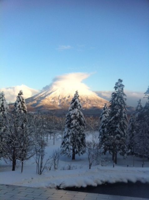 11月30日（月）今日の1コマ