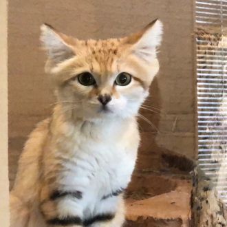 第４８回：「長崎バイオパーク」②