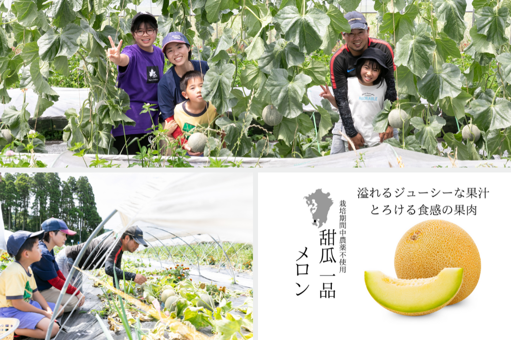 元教師が農業に挑戦！幻のメロン　甜瓜一品～save the melon～ 通山きみこさん （鹿児島）
